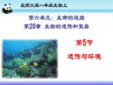 北师大版生物八年级上册 第20章 第5节遗传与环境（课件）