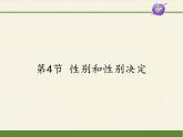 北师大版生物八年级上册 第20章 第4节 性别和性别决定(5)（课件）