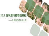 北师大版生物八年级上册 第20章 第2节  性状遗传的物质基础（课件）