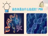 北师大版生物八年级上册 第20章 第2节  性状遗传的物质基础（课件）