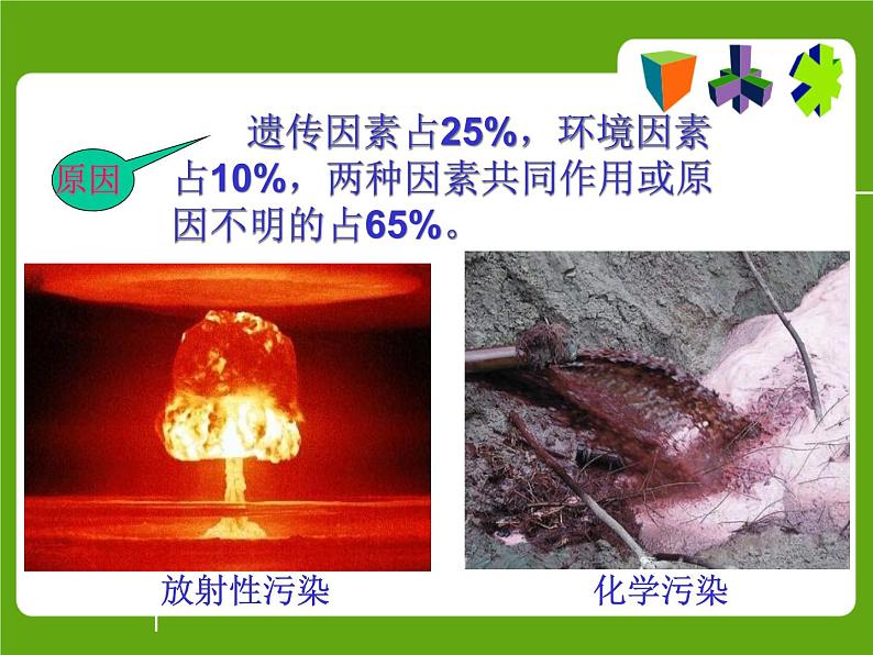 北师大版生物八年级上册 第20章 遗传病和人类健康_（课件）第7页