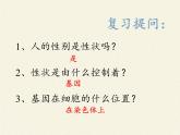 北师大版生物八年级上册 第20章 第4节 性别和性别决定(3)（课件）