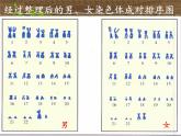 北师大版生物八年级上册 第20章 第4节 性别和性别决定(3)（课件）