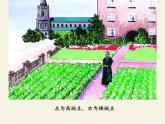 北师大版生物八年级上册 第20章 第3节 性状遗传有一定的规律性(6)（课件）