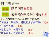 北师大版生物八年级上册 第20章 第3节 性状遗传有一定的规律性(10)（课件）
