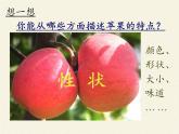 北师大版生物八年级上册 第20章 第3节 性状遗传有一定的规律性(10)（课件）