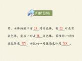 北师大版生物八年级上册 第20章 第4节 性别和性别决定(7)（课件）