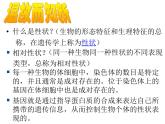 北师大版生物八年级上册 第20章 第3节 性状遗传有一定的规律性_（课件）