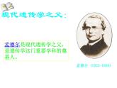 北师大版生物八年级上册 第20章 第3节 性状遗传有一定的规律性_（课件）