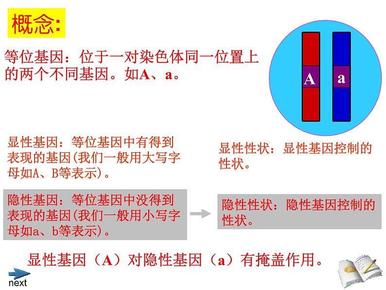 北师大版生物八年级上册 第20章 第3节 性状遗传有一定的规律性_（课件）08