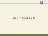 北师大版生物八年级上册 第20章 第4节 性别和性别决定(9)（课件）