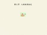 北师大版生物八年级上册 第20章 第4节 性别和性别决定(12)（课件）