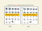 北师大版生物八年级上册 第20章 第4节 性别和性别决定(12)（课件）