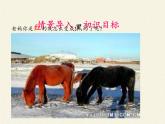 北师大版生物八年级上册 第20章 第1节 遗传和变异现象（课件）