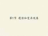 北师大版生物八年级上册 第20章 第1节 遗传和变异现象(4)（课件）