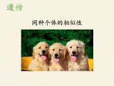北师大版生物八年级上册 第20章 第1节 遗传和变异现象(4)（课件）