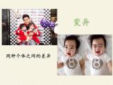 北师大版生物八年级上册 第20章 第1节 遗传和变异现象(4)（课件）
