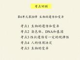 北师大版生物八年级上册 第20章 第1节 遗传和变异现象(6)（课件）
