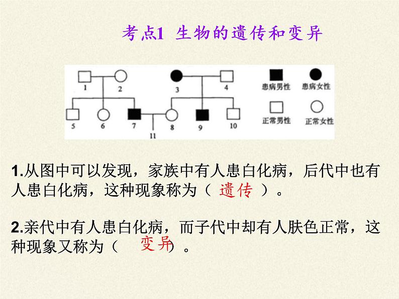 北师大版生物八年级上册 第20章 第1节 遗传和变异现象(6)（课件）第4页