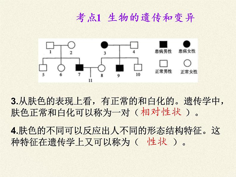 北师大版生物八年级上册 第20章 第1节 遗传和变异现象(6)（课件）第6页