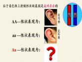 北师大版生物八年级上册 第20章 第3节 性状遗传有一定的规律性(4)（课件）