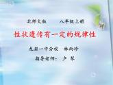 北师大版生物八年级上册 第20章 第3节 性状遗传有一定的规律性（课件）