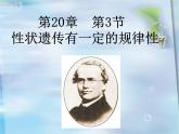北师大版生物八年级上册 第20章 第3节 性状遗传有一定的规律性（课件）