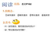 北师大版生物八年级上册 第20章 第3节 性状遗传有一定的规律性（课件）