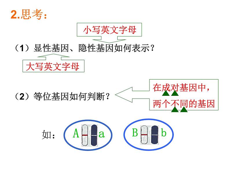 北师大版生物八年级上册 第20章 第3节 性状遗传有一定的规律性（课件）04