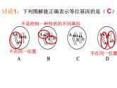 北师大版生物八年级上册 第20章 第3节 性状遗传有一定的规律性（课件）