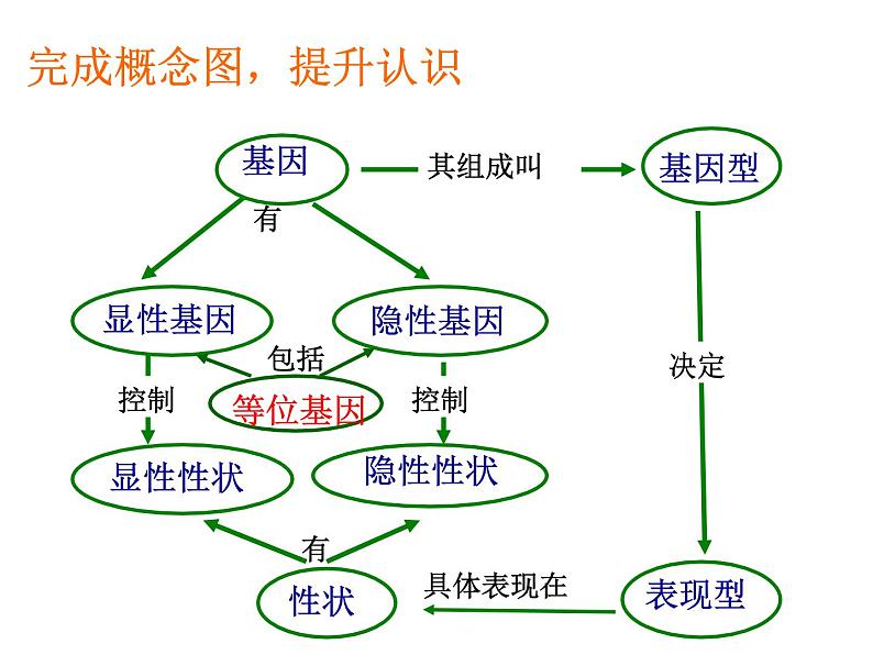 北师大版生物八年级上册 第20章 第3节 性状遗传有一定的规律性（课件）08