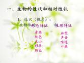 北师大版生物八年级上册 第20章 第2节 性状遗传的物质基础(6)（课件）