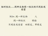 北师大版生物八年级上册 第20章 第1节 遗传和变异现象(7)（课件）