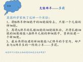 北师大版生物八年级上册 第20章 第2节 性状遗传的物质基础(2)（课件）