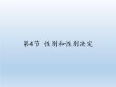 北师大版生物八年级上册 第20章 第4节 性别和性别决定(4)（课件）
