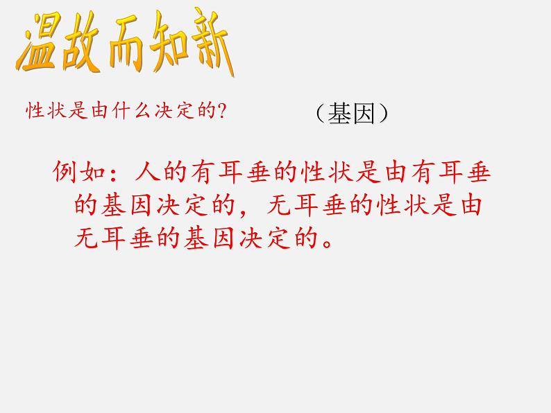 北师大版生物八年级上册 第20章 第3节 性状遗传有一定的规律性(9)（课件）第2页