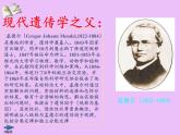 北师大版生物八年级上册 第20章 第3节 性状遗传有一定的规律性(9)（课件）