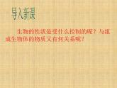 北师大版生物八年级上册 第20章 第2节 性状遗传的物质基础_（课件）