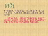 北师大版生物八年级上册 第20章 第2节 性状遗传的物质基础_（课件）