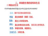 人教版七年级生物上册--2.2.4 单细胞生物（课件）