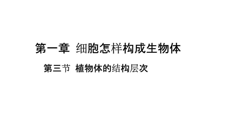 人教版七年级生物上册--2.2.3植物体的结构层次课件PPT第1页