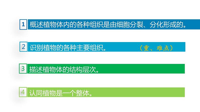 人教版七年级生物上册--2.2.3植物体的结构层次课件PPT第4页