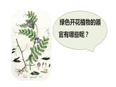 人教版七年级生物上册--2.2.3植物体的结构层次课件PPT