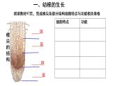 人教版七年级生物上册--3.2.2 植株的生长课件PPT