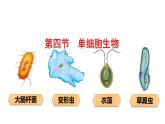 人教版七年级生物上册--2.2.4单细胞生物课件PPT