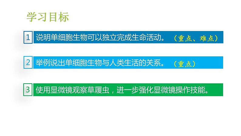 人教版七年级生物上册--2.2.4单细胞生物课件PPT02