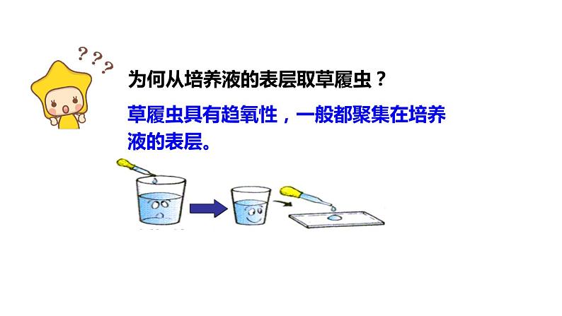 人教版七年级生物上册--2.2.4单细胞生物课件PPT07