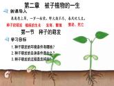 人教版七年级生物上册--3.2.1 种子的萌发课件PPT