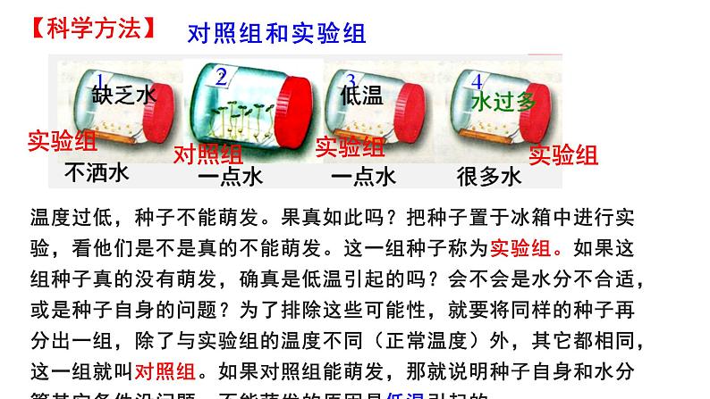 人教版七年级生物上册--3.2.1 种子的萌发课件PPT第6页