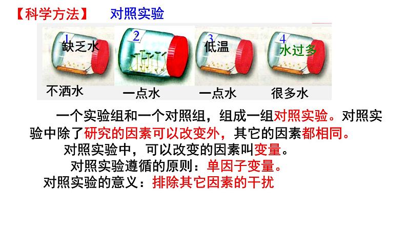 人教版七年级生物上册--3.2.1 种子的萌发课件PPT第7页